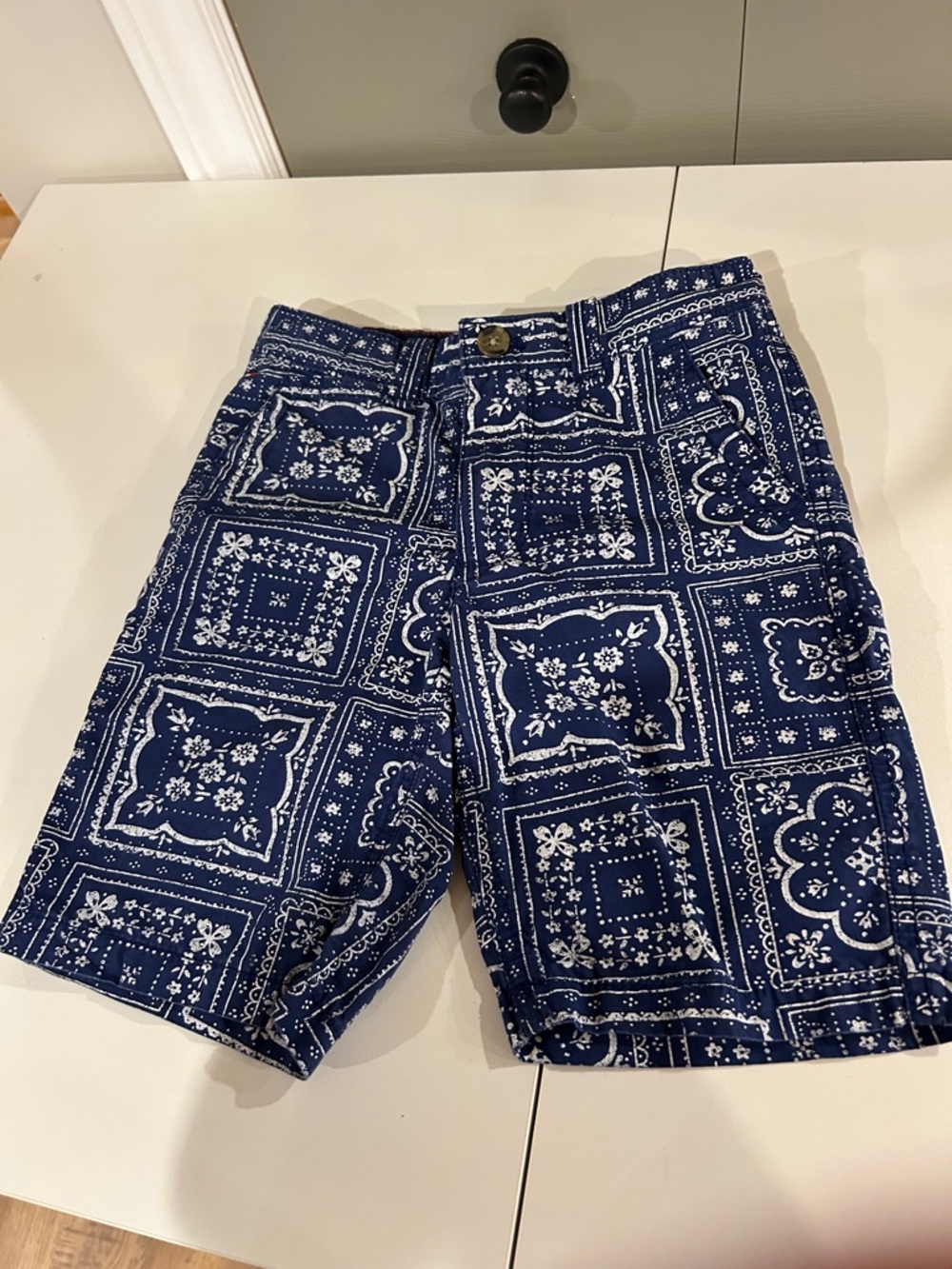 Tommy Hilfiger Navy Shorts with Red Stitching